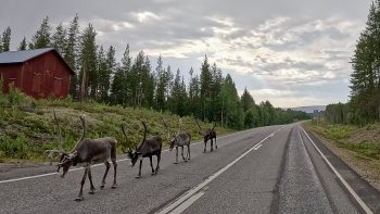 Finnish-Lapland Finnish-Lapland