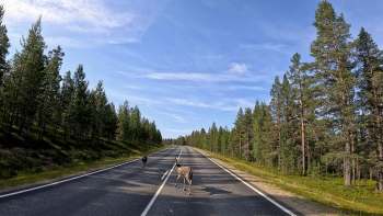 Lapland