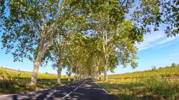 Route-des-Vins-du-Minervois-in-Southern-France