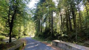 Vosges-Mountains
