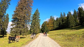 1_Jura-Mountains-Switzerland