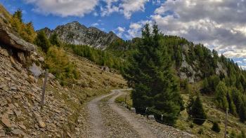 Alpe-di-Cadinello-in-the-Swiss-Alps Alpe-di-Cadinello-in-the-Swiss-Alps