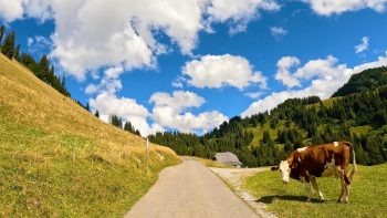 Alpine-Road-between-Saanen-and-Jaun-Switzerland Alpine-Road-between-Saanen-and-Jaun-Switzerland