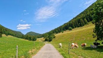 Jura-Mountains-Switzerland