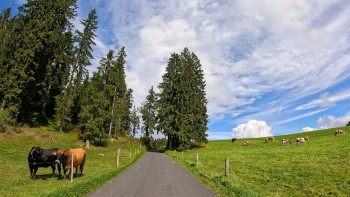 Jura-Mountains-in-Switzerland