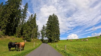 Jura-Mountains-in-Switzerland Jura-Mountains-in-Switzerland
