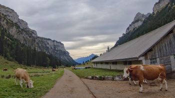 Justistal-Swiss-Alps-Switzerland Justistal-Swiss-Alps-Switzerland